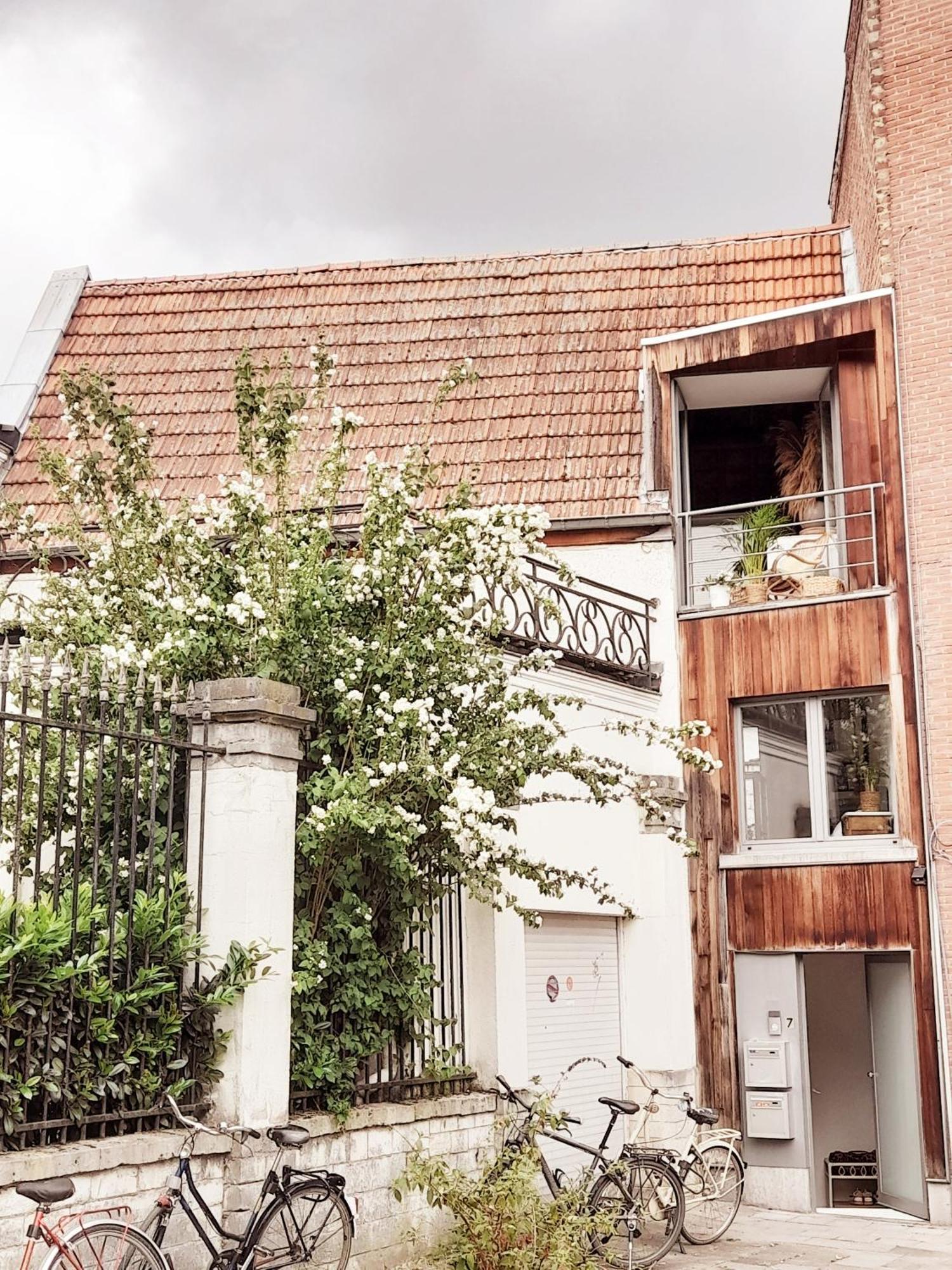 Accommodatie bij particulieren Smiling Fox Leuven